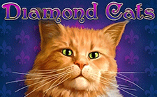 Игровой автомат Diamond Cats Игровой автомат Diamond Cats